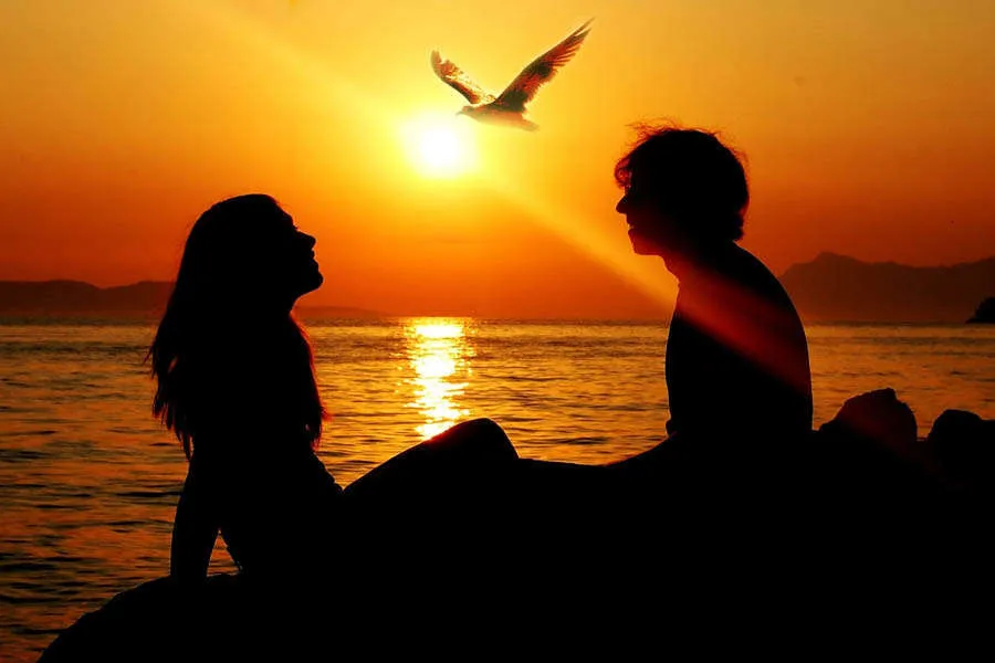 Amor de volta ao por do sol